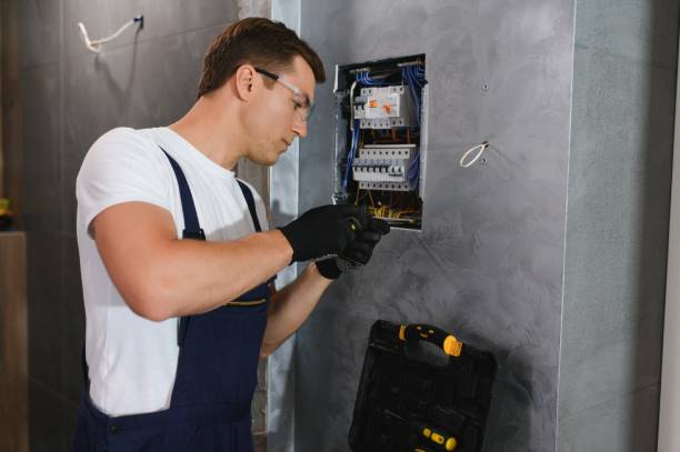 Best Electric Panel Repair  in Steelton, PA